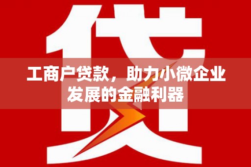 孝南工商户贷款，助力小微企业发展的金融利器