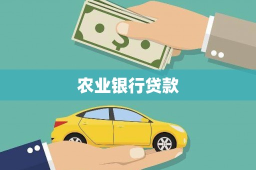 孝南农业银行贷款
