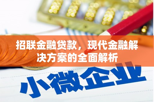 孝南招联金融贷款，现代金融解决方案的全面解析