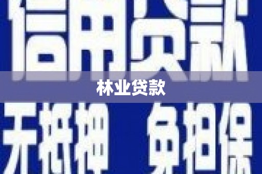 孝南林业贷款