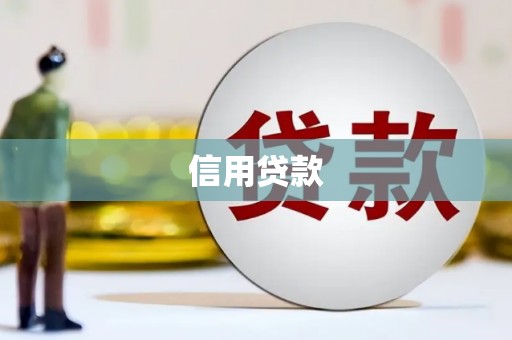 孝南信用贷款