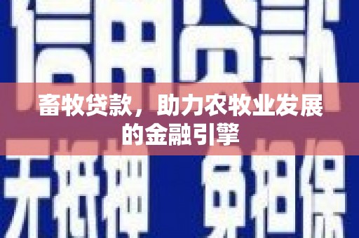 孝南畜牧贷款，助力农牧业发展的金融引擎