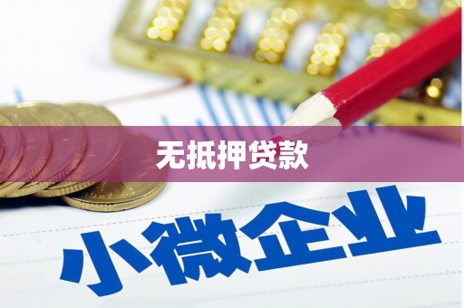 孝南无抵押贷款