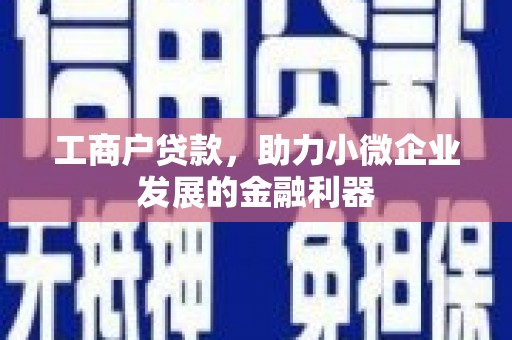 孝南工商户贷款，助力小微企业发展的金融利器