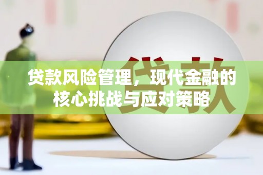 孝南贷款风险管理，现代金融的核心挑战与应对策略