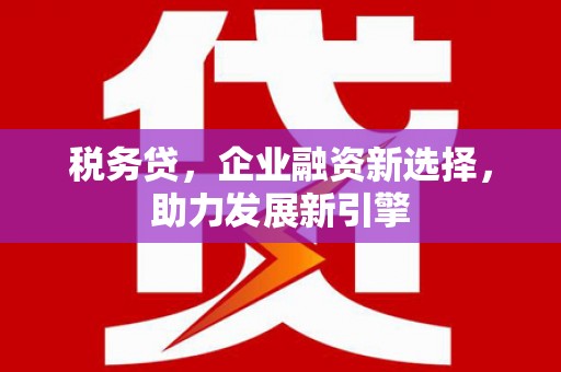 孝南税务贷，企业融资新选择，助力发展新引擎