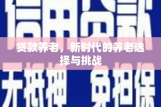 孝南贷款养老，新时代的养老选择与挑战