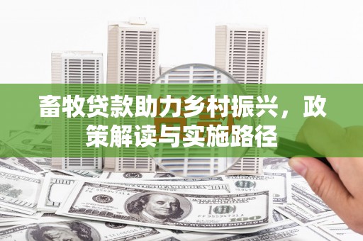 孝南畜牧贷款助力乡村振兴，政策解读与实施路径