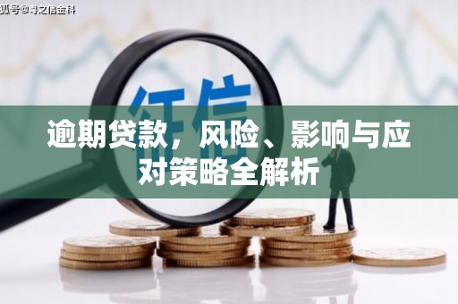 孝南逾期贷款，风险、影响与应对策略全解析