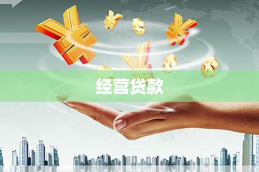 孝南经营贷款