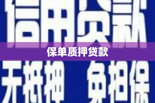 孝南保单质押贷款