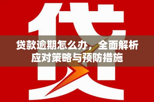 孝南贷款逾期怎么办，全面解析应对策略与预防措施