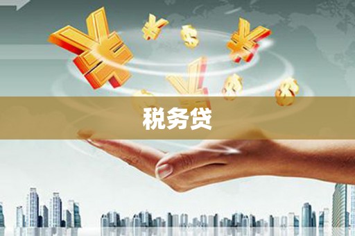 孝南税务贷