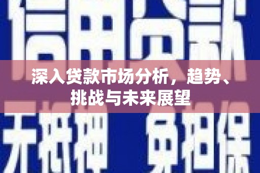 孝南深入贷款市场分析，趋势、挑战与未来展望