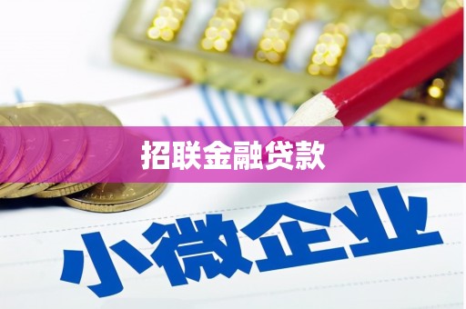 孝南招联金融贷款