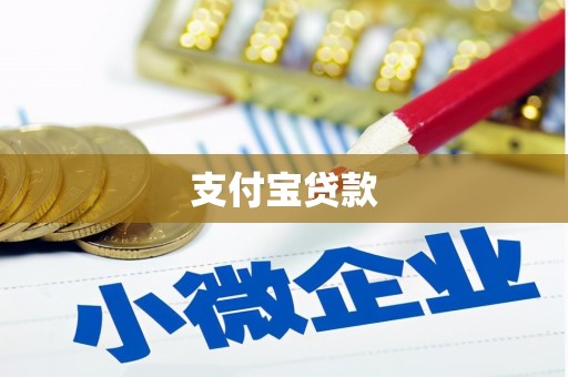 孝南支付宝贷款