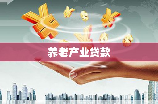 孝南养老产业贷款