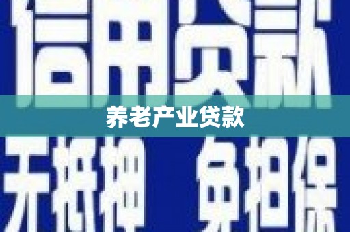 孝南养老产业贷款