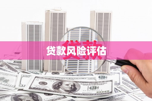 孝南贷款风险评估
