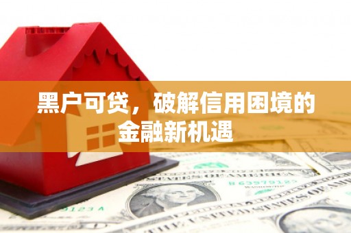 孝南黑户可贷，破解信用困境的金融新机遇