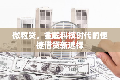 孝南微粒贷，金融科技时代的便捷借贷新选择