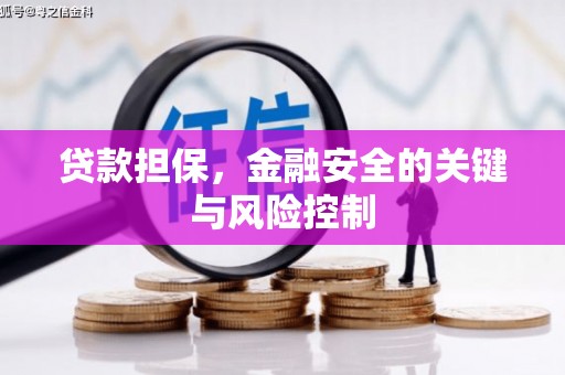 孝南贷款担保，金融安全的关键与风险控制