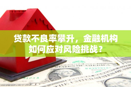 孝南贷款不良率攀升，金融机构如何应对风险挑战？