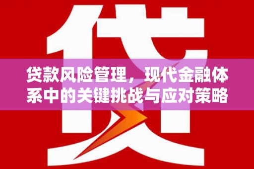孝南贷款风险管理，现代金融体系中的关键挑战与应对策略