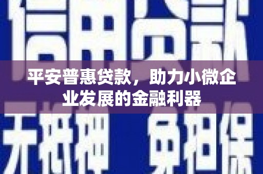 孝南平安普惠贷款，助力小微企业发展的金融利器