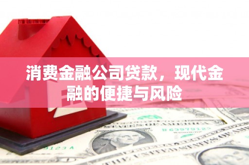 孝南消费金融公司贷款，现代金融的便捷与风险