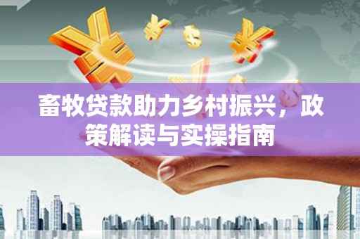 孝南畜牧贷款助力乡村振兴，政策解读与实操指南
