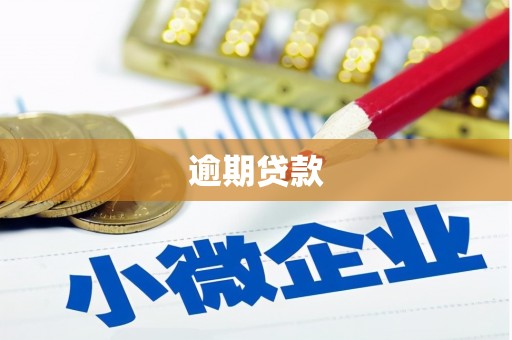 孝南逾期贷款