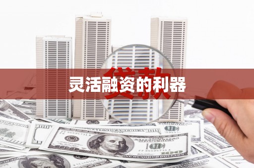 孝南灵活融资的利器