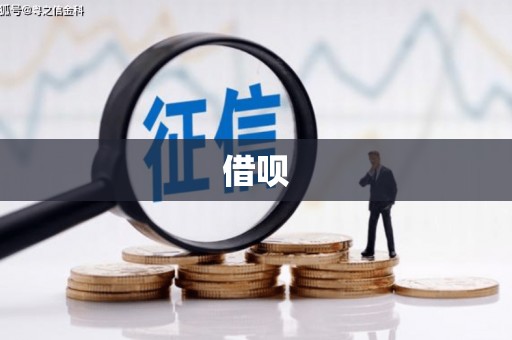 孝南借呗