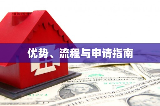 孝南优势、流程与申请指南