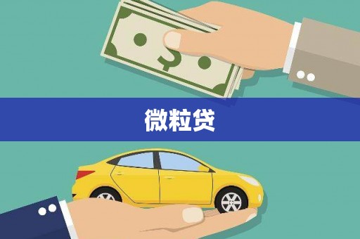 孝南微粒贷