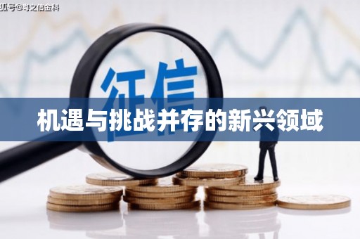 孝南机遇与挑战并存的新兴领域