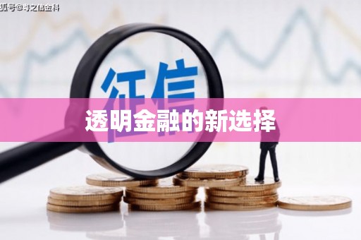 孝南透明金融的新选择