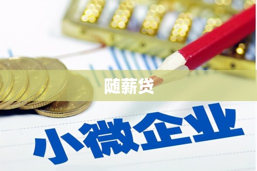 孝南随薪贷