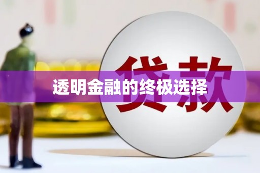 孝南透明金融的终极选择