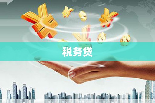 孝南税务贷