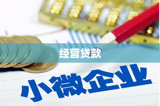 孝南经营贷款