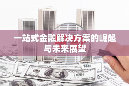孝南一站式金融解决方案的崛起与未来展望