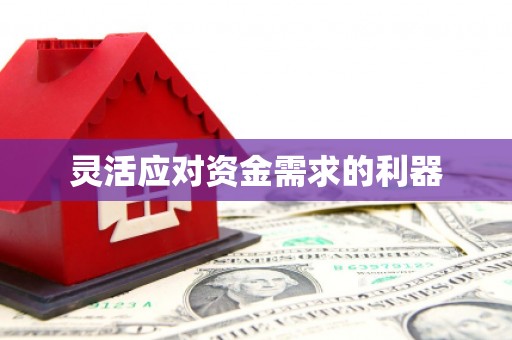 孝南灵活应对资金需求的利器