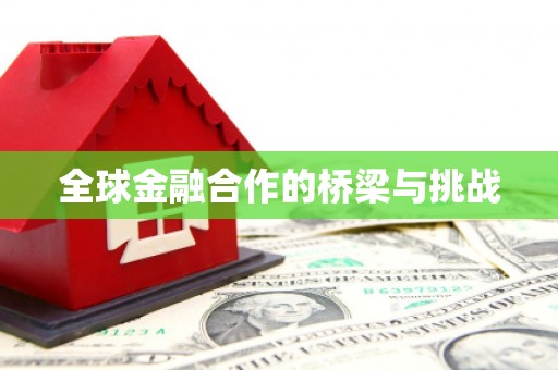 孝南全球金融合作的桥梁与挑战