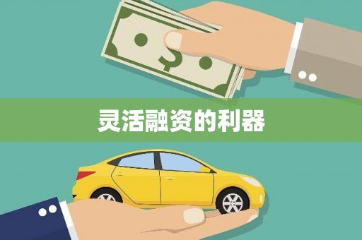 孝南灵活融资的利器