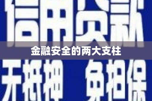 孝南金融安全的两大支柱
