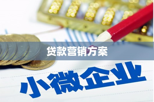 孝南贷款营销方案