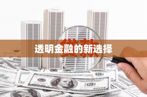 孝南透明金融的新选择