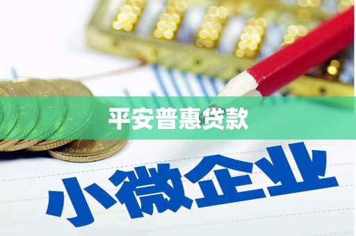孝南平安普惠贷款